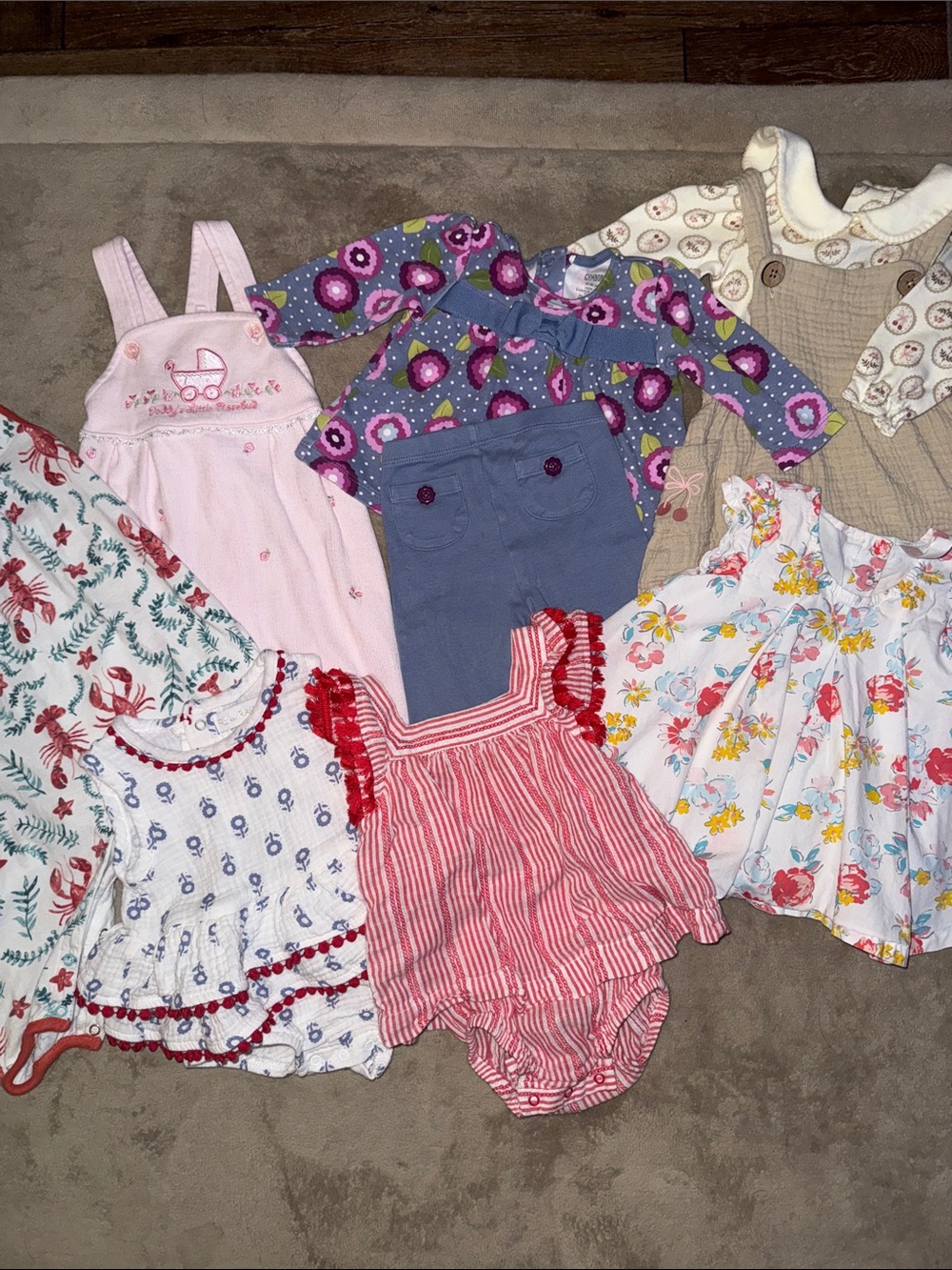 3-6 Month Girl Clothing Bundle